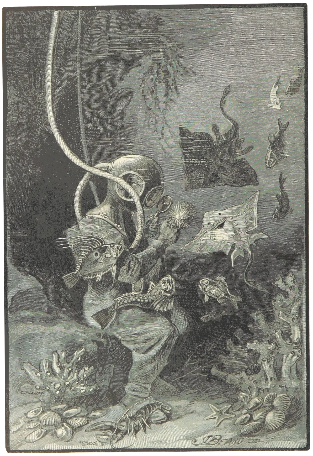 a 19th-century diver, surrounded by small sea creatures, sits on the ocean floor examining a sea anenome with a magnifying glass.